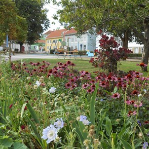 Blomstrande rabatt med lekplatsen i bakgrunden