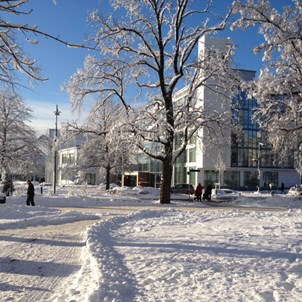 Västra parken på vintern med stadshuset i bakgrunden