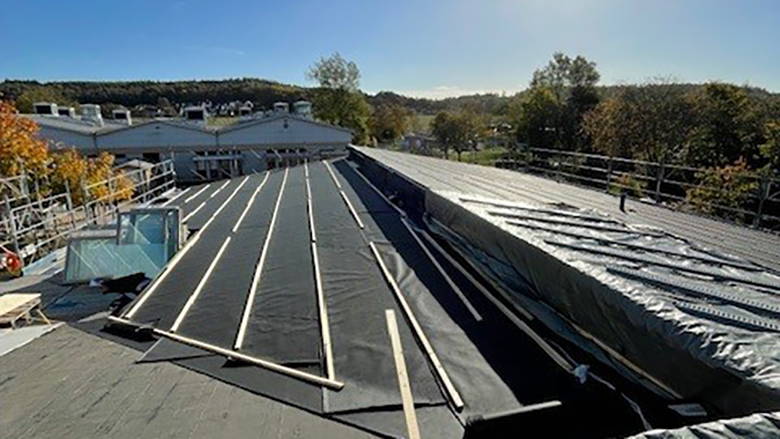 Kastellegårdsskolan 1.png