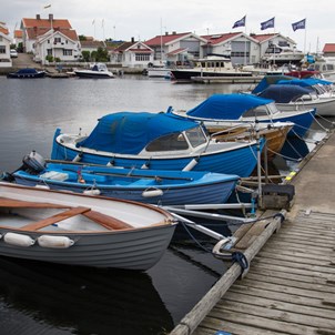 Förtöjda båtar i Marstrands småbåtshamn med hus i bakgrunden