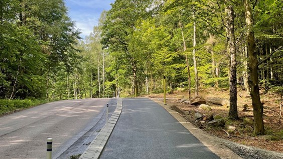 Cykelväg bredvid väg i grönska