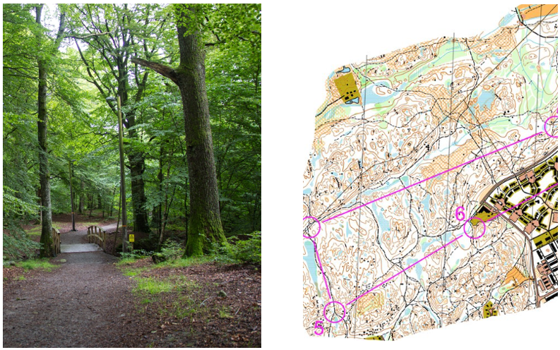 Sk&auml;rmbild 2026-03-30 084800.png